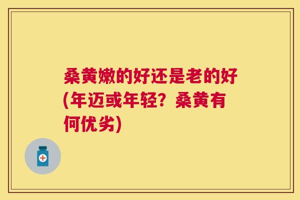 桑黄嫩的好还是老的好(年迈或年轻?桑黄有何优劣) 桑黄嫩的好还是老的好(年迈或年轻?桑黄有何优劣)