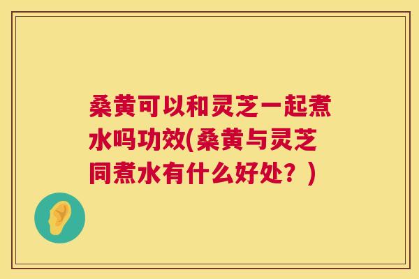 桑黄可以和灵芝一起煮水吗功效(桑黄与灵芝同煮水有什么好处?) 桑黄可以和灵芝一起煮水吗功效(桑黄与灵芝同煮水有什么好处?)