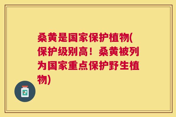 桑黄是国家保护植物(保护级别高!桑黄被列为国家重点保护野生植物) 桑黄是国家保护植物(保护级别高!桑黄被列为国家重点保护野生植物)