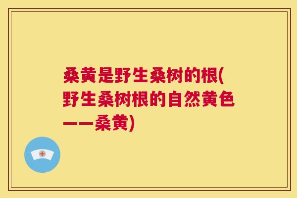 桑黄是野生桑树的根(野生桑树根的自然黄色——桑黄) 桑黄是野生桑树的根(野生桑树根的自然黄色——桑黄)