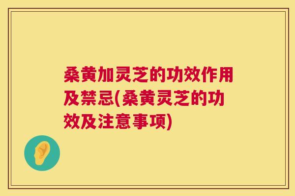 桑黄加灵芝的功效作用及禁忌(桑黄灵芝的功效及注意事项) 桑黄加灵芝的功效作用及禁忌(桑黄灵芝的功效及注意事项)