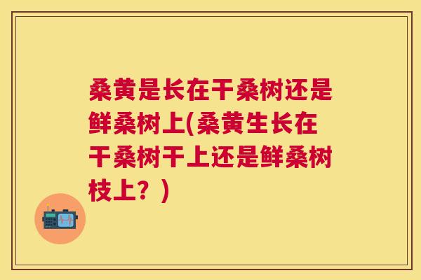 桑黄是长在干桑树还是鲜桑树上(桑黄生长在干桑树干上还是鲜桑树枝上?) 桑黄是长在干桑树还是鲜桑树上(桑黄生长在干桑树干上还是鲜桑树枝上?)