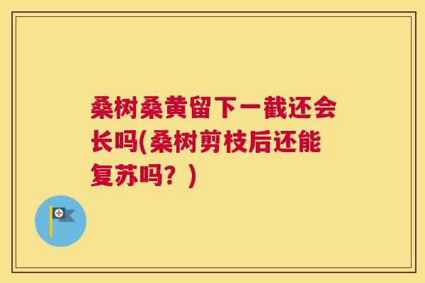 桑树桑黄留下一截还会长吗(桑树剪枝后还能复苏吗?) 桑树桑黄留下一截还会长吗(桑树剪枝后还能复苏吗?)