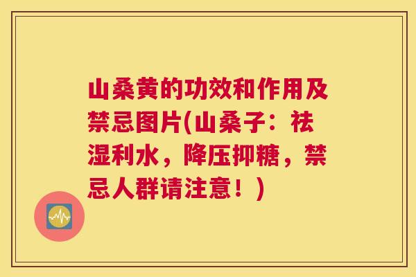 山桑黄的功效和作用及禁忌图片(山桑子:祛湿利水,抑糖,禁忌人群请注意!) 山桑黄的功效和作用及禁忌图片(山桑子:祛湿利水,抑糖,禁忌人群请注意!)