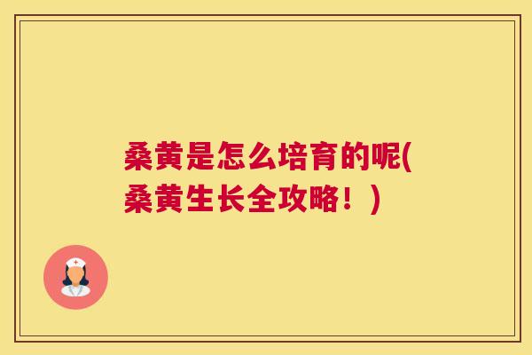 桑黄是怎么培育的呢(桑黄生长全攻略!) 桑黄是怎么培育的呢(桑黄生长全攻略!)