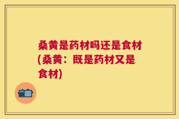 桑黄是药材吗还是食材(桑黄:既是药材又是食材) 桑黄是药材吗还是食材(桑黄:既是药材又是食材)