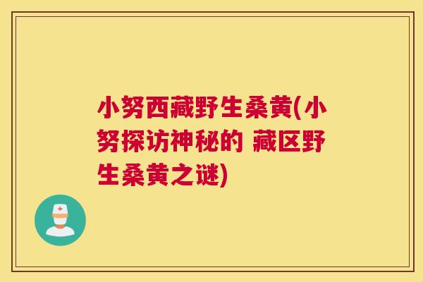 小努西藏野生桑黄(小努探访神秘的 藏区野生桑黄之谜) 小努西藏野生桑黄(小努探访神秘的 藏区野生桑黄之谜)
