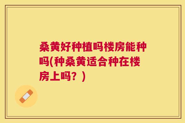 桑黄好种植吗楼房能种吗(种桑黄适合种在楼房上吗?) 桑黄好种植吗楼房能种吗(种桑黄适合种在楼房上吗?)