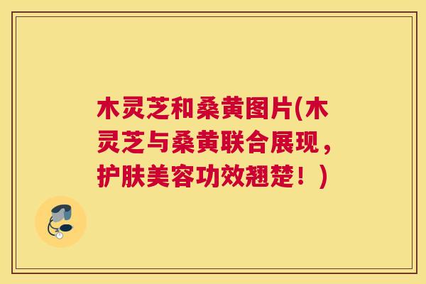 木灵芝和桑黄图片(木灵芝与桑黄联合展现,护肤美容功效翘楚!) 木灵芝和桑黄图片(木灵芝与桑黄联合展现,护肤美容功效翘楚!)