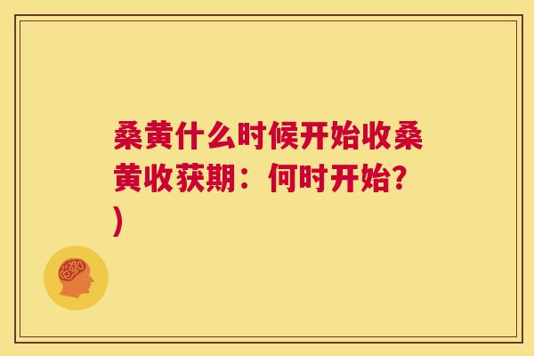 桑黄什么时候开始收桑黄收获期:何时开始?) 桑黄什么时候开始收桑黄收获期:何时开始?)