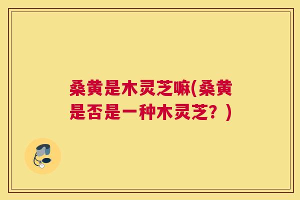 桑黄是木灵芝嘛(桑黄是否是一种木灵芝?) 桑黄是木灵芝嘛(桑黄是否是一种木灵芝?)