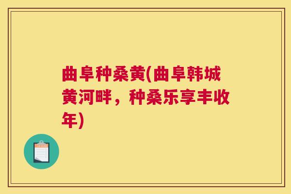 曲阜种桑黄(曲阜韩城黄河畔,种桑乐享丰收年) 曲阜种桑黄(曲阜韩城黄河畔,种桑乐享丰收年)