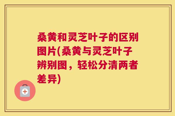桑黄和灵芝叶子的区别图片(桑黄与灵芝叶子辨别图,轻松分清两者差异) 桑黄和灵芝叶子的区别图片(桑黄与灵芝叶子辨别图,轻松分清两者差异)
