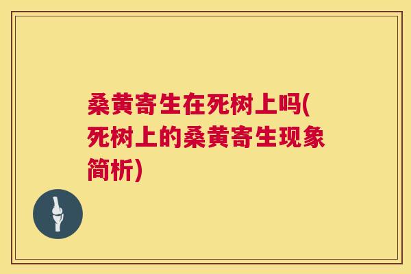 桑黄寄生在死树上吗(死树上的桑黄寄生现象简析) 桑黄寄生在死树上吗(死树上的桑黄寄生现象简析)