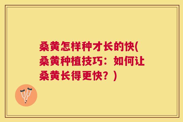 桑黄怎样种才长的快(桑黄种植技巧：如何让桑黄长得更快？)