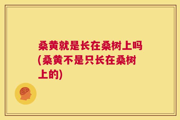 桑黄就是长在桑树上吗(桑黄不是只长在桑树上的) 桑黄就是长在桑树上吗(桑黄不是只长在桑树上的)
