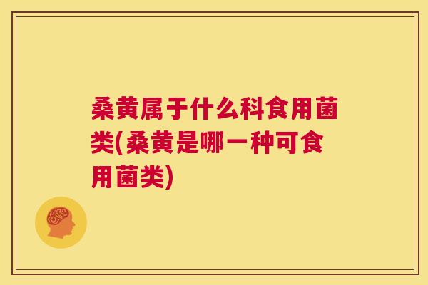 桑黄属于什么科食用菌类(桑黄是哪一种可食用菌类) 桑黄属于什么科食用菌类(桑黄是哪一种可食用菌类)