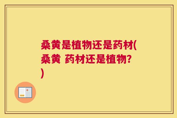 桑黄是植物还是药材(桑黄 药材还是植物?) 桑黄是植物还是药材(桑黄 药材还是植物?)