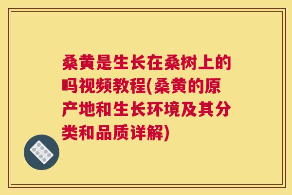 桑黄是生长在桑树上的吗视频教程(桑黄的原产地和生长环境及其分类和品质详解) 桑黄是生长在桑树上的吗视频教程(桑黄的原产地和生长环境及其分类和品质详解)