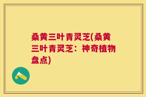 桑黄三叶青灵芝(桑黄三叶青灵芝:神奇植物盘点) 桑黄三叶青灵芝(桑黄三叶青灵芝:神奇植物盘点)