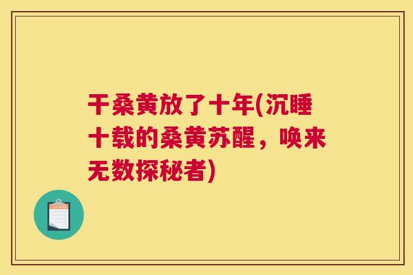 干桑黄放了十年(沉睡十载的桑黄苏醒,唤来无数探秘者) 干桑黄放了十年(沉睡十载的桑黄苏醒,唤来无数探秘者)