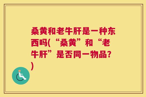 桑黄和老牛是一种东西吗(“桑黄”和“老牛”是否同一物品?) 桑黄和老牛是一种东西吗(“桑黄”和“老牛”是否同一物品?)