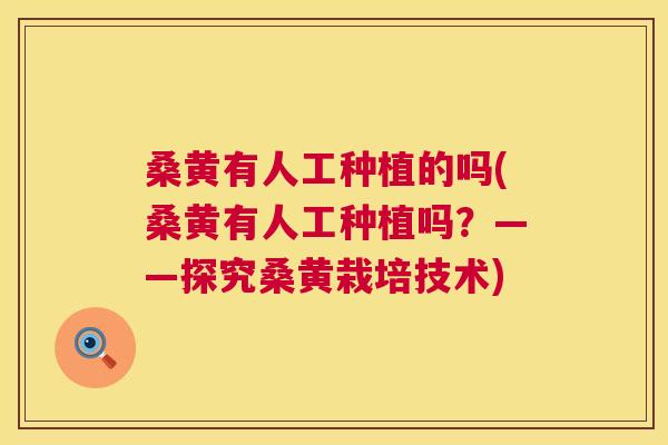 桑黄有人工种植的吗(桑黄有人工种植吗?——探究桑黄栽培技术) 桑黄有人工种植的吗(桑黄有人工种植吗?——探究桑黄栽培技术)