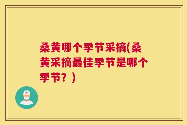 桑黄哪个季节采摘(桑黄采摘佳季节是哪个季节?) 桑黄哪个季节采摘(桑黄采摘佳季节是哪个季节?)
