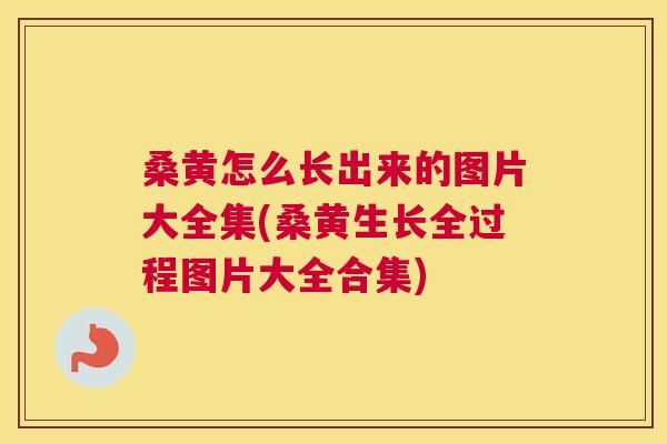 桑黄怎么长出来的图片大全集(桑黄生长全过程图片大全合集) 桑黄怎么长出来的图片大全集(桑黄生长全过程图片大全合集)
