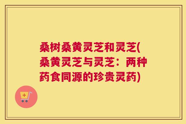 桑树桑黄灵芝和灵芝(桑黄灵芝与灵芝:两种药食同源的珍贵灵药) 桑树桑黄灵芝和灵芝(桑黄灵芝与灵芝:两种药食同源的珍贵灵药)
