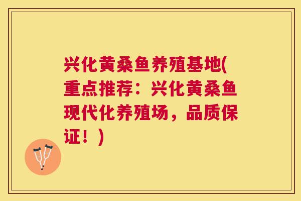 兴化黄桑鱼养殖基地(重点推荐:兴化黄桑鱼现代化养殖场,品质保证!) 兴化黄桑鱼养殖基地(重点推荐:兴化黄桑鱼现代化养殖场,品质保证!)
