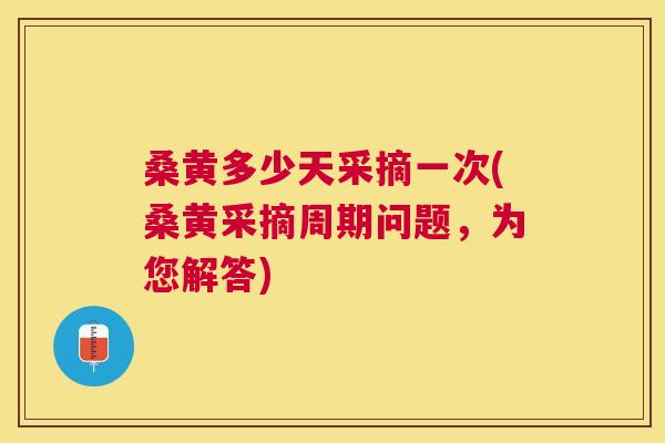 桑黄多少天采摘一次(桑黄采摘周期问题,为您解答) 桑黄多少天采摘一次(桑黄采摘周期问题,为您解答)