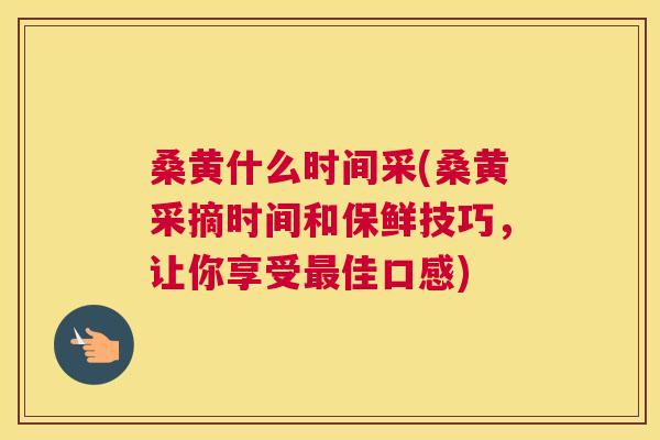 桑黄什么时间采(桑黄采摘时间和保鲜技巧,让你享受佳口感) 桑黄什么时间采(桑黄采摘时间和保鲜技巧,让你享受佳口感)