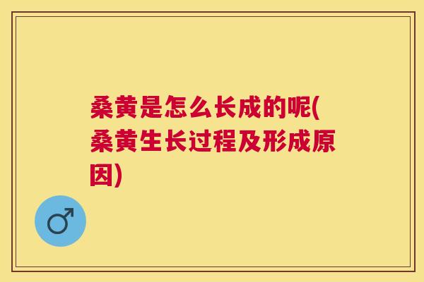 桑黄是怎么长成的呢(桑黄生长过程及形成原因) 桑黄是怎么长成的呢(桑黄生长过程及形成原因)