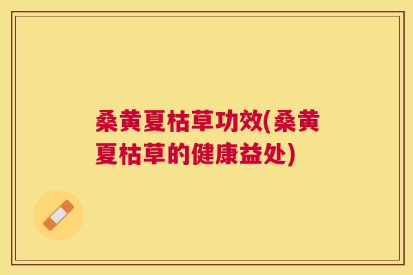 桑黄夏枯草功效(桑黄夏枯草的健康益处) 桑黄夏枯草功效(桑黄夏枯草的健康益处)