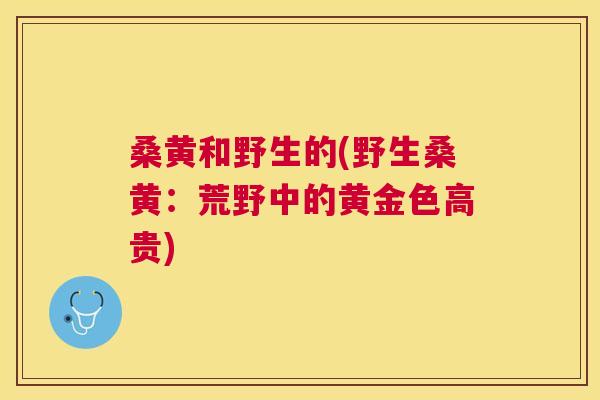 桑黄和野生的(野生桑黄:荒野中的黄金色高贵) 桑黄和野生的(野生桑黄:荒野中的黄金色高贵)