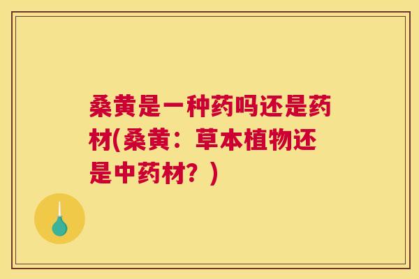 桑黄是一种药吗还是药材(桑黄:草本植物还是材?) 桑黄是一种药吗还是药材(桑黄:草本植物还是材?)