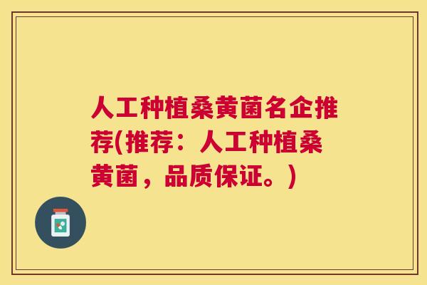 人工种植桑黄菌名企推荐(推荐:人工种植桑黄菌,品质保证。) 人工种植桑黄菌名企推荐(推荐:人工种植桑黄菌,品质保证。)