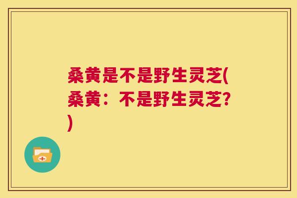 桑黄是不是野生灵芝(桑黄：不是野生灵芝？)