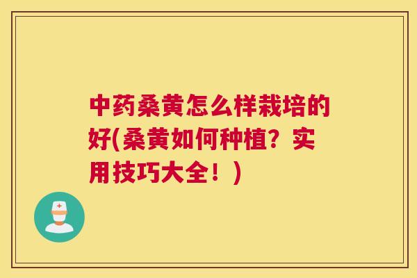 桑黄怎么样栽培的好(桑黄如何种植?实用技巧大全!) 桑黄怎么样栽培的好(桑黄如何种植?实用技巧大全!)