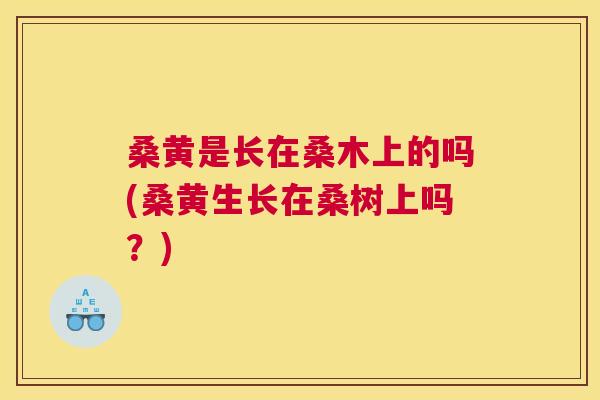 桑黄是长在桑木上的吗(桑黄生长在桑树上吗?) 桑黄是长在桑木上的吗(桑黄生长在桑树上吗?)
