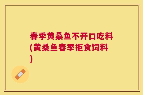 春季黄桑鱼不开口吃料(黄桑鱼春季拒食饲料) 春季黄桑鱼不开口吃料(黄桑鱼春季拒食饲料)