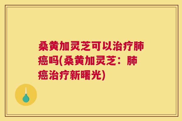 桑黄加灵芝可以吗(桑黄加灵芝:新曙光) 桑黄加灵芝可以吗(桑黄加灵芝:新曙光)