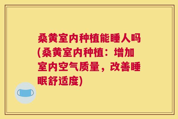 桑黄室内种植能睡人吗(桑黄室内种植:增加室内空气质量,改善舒适度) 桑黄室内种植能睡人吗(桑黄室内种植:增加室内空气质量,改善舒适度)