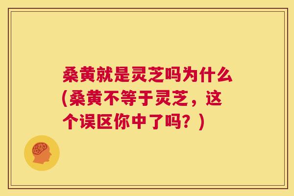 桑黄就是灵芝吗为什么(桑黄不等于灵芝，这个误区你中了吗？)