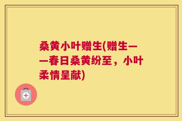 桑黄小叶赠生(赠生——春日桑黄纷至,小叶柔情呈献) 桑黄小叶赠生(赠生——春日桑黄纷至,小叶柔情呈献)