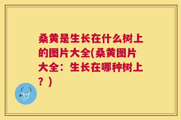 桑黄是生长在什么树上的图片大全(桑黄图片大全:生长在哪种树上?) 桑黄是生长在什么树上的图片大全(桑黄图片大全:生长在哪种树上?)