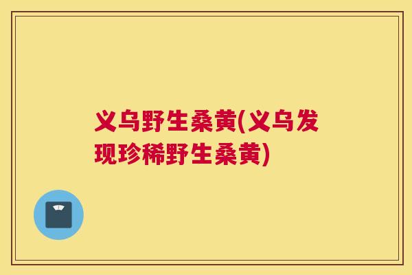 义乌野生桑黄(义乌发现珍稀野生桑黄) 义乌野生桑黄(义乌发现珍稀野生桑黄)