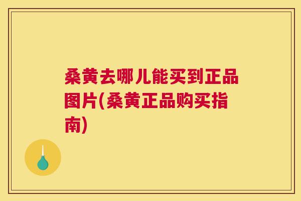 桑黄去哪儿能买到正品图片(桑黄正品购买指南) 桑黄去哪儿能买到正品图片(桑黄正品购买指南)