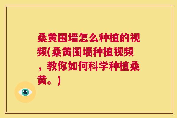 桑黄围墙怎么种植的视频(桑黄围墙种植视频,教你如何科学种植桑黄。) 桑黄围墙怎么种植的视频(桑黄围墙种植视频,教你如何科学种植桑黄。)